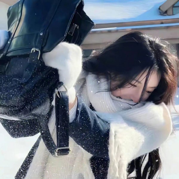 猪年（纪录片）